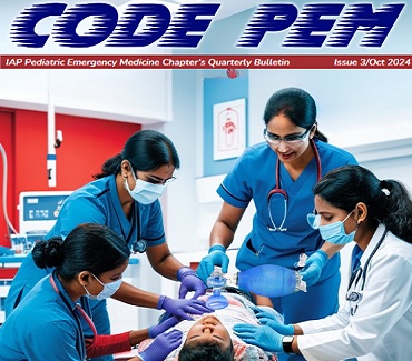 PEM Bulletin - October 2024 Issue 3